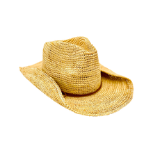 Load image into Gallery viewer, The Mesa - Raffia Fedora Hat Brown trim